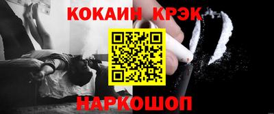 индика Кингисепп