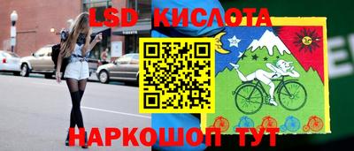индика Кингисепп