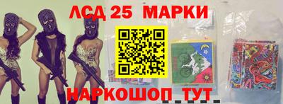 индика Кингисепп