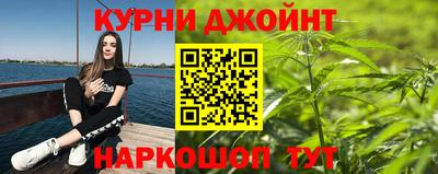 индика Кингисепп