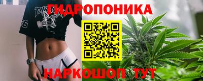 стаф Кимры