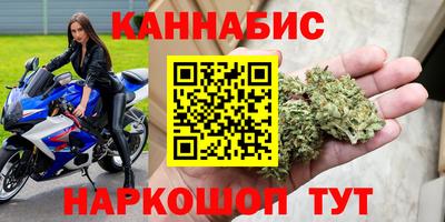 индика Кингисепп