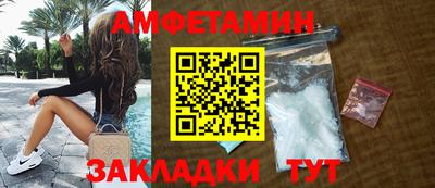 индика Кингисепп