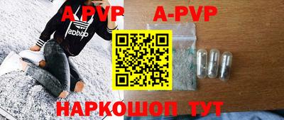 индика Кингисепп