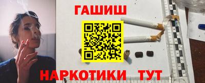 индика Кингисепп