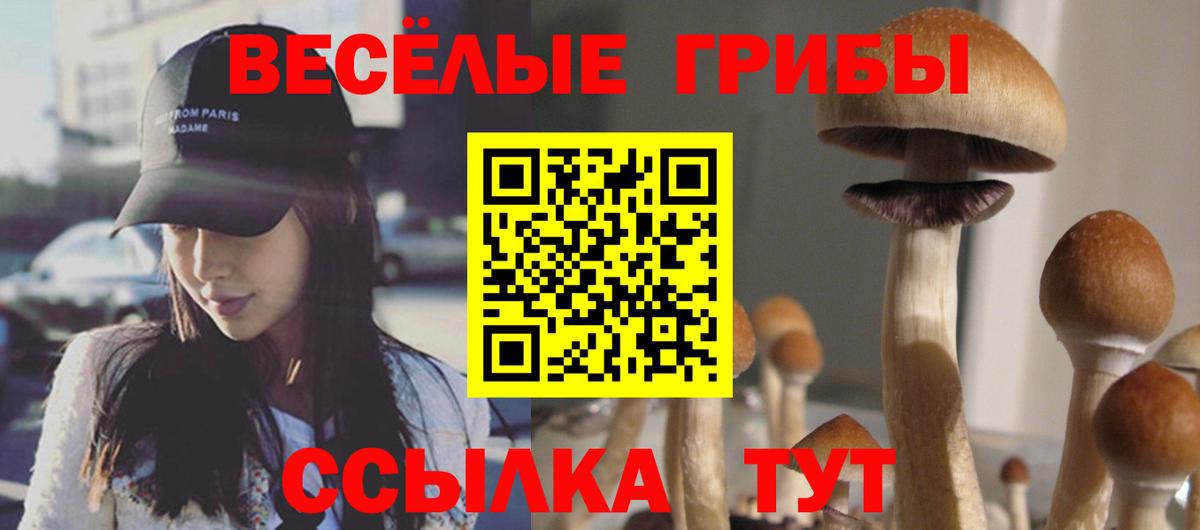 Сочи  Псилоцибиновые грибы Cubensis  Вход с VPN  Псилоцибиновые грибы Psilocybine cubensis 