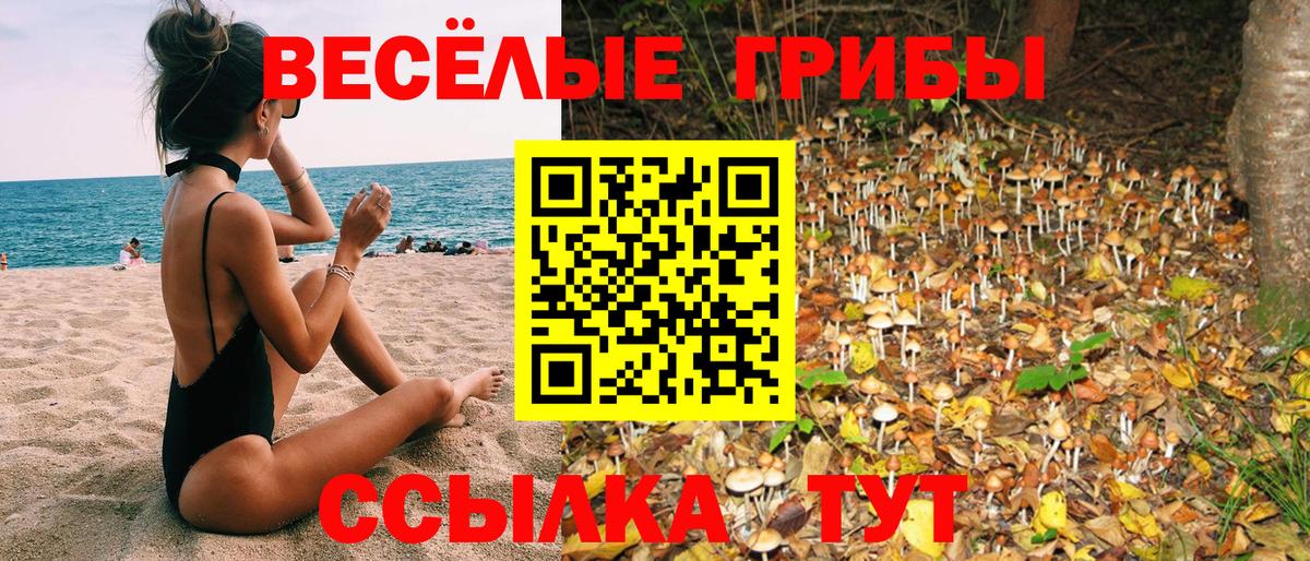 Псилоцибиновые грибы Psilocybine cubensis Сочи