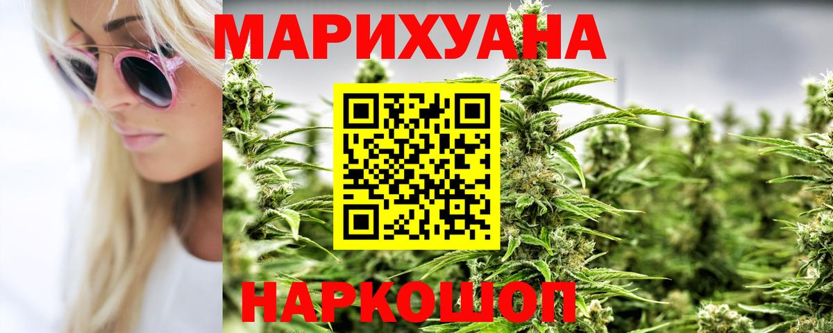 Бошки Шишки планчик Сочи
